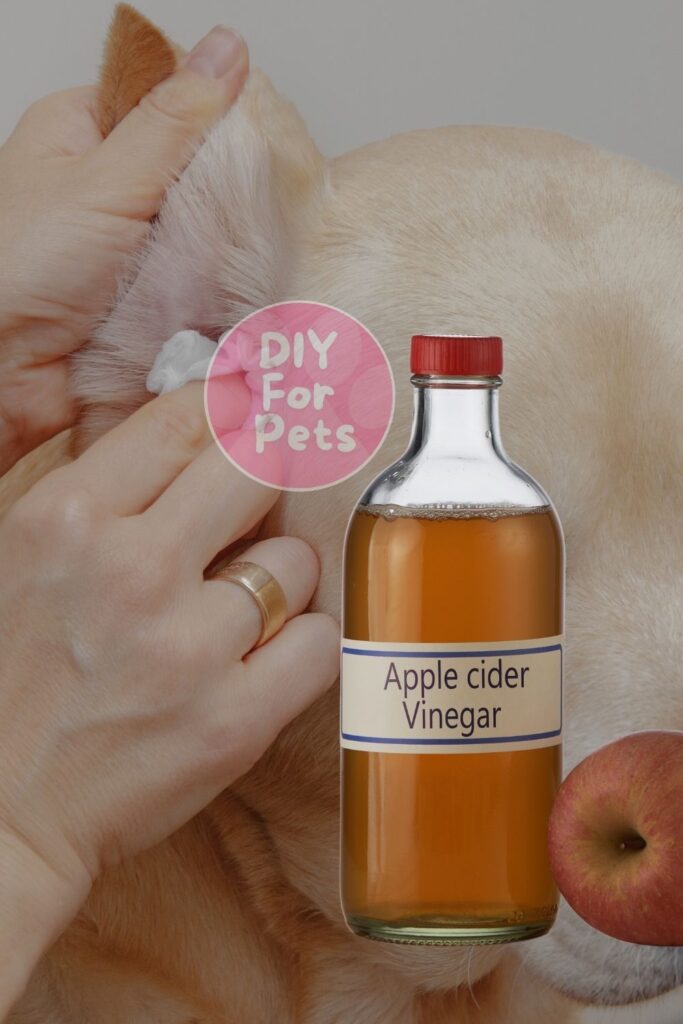 Apple Cider Vinegar and Water Ear Cleaner for Dogs