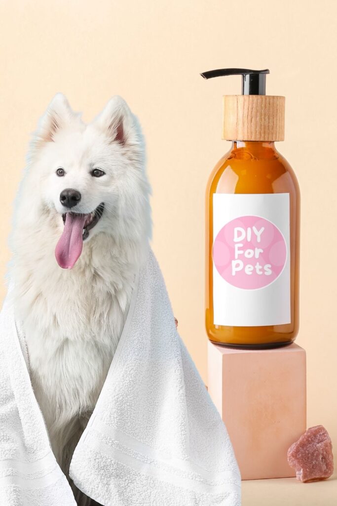 Castile Soap and Essential Oil Flea Shampoo Diy for Dogs