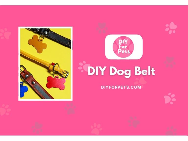 DIY Dog Belt