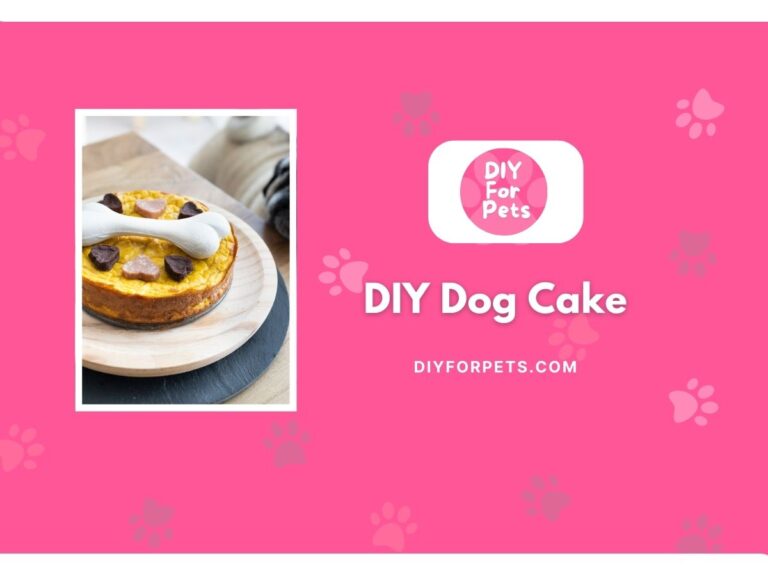 DIY Dog Cake