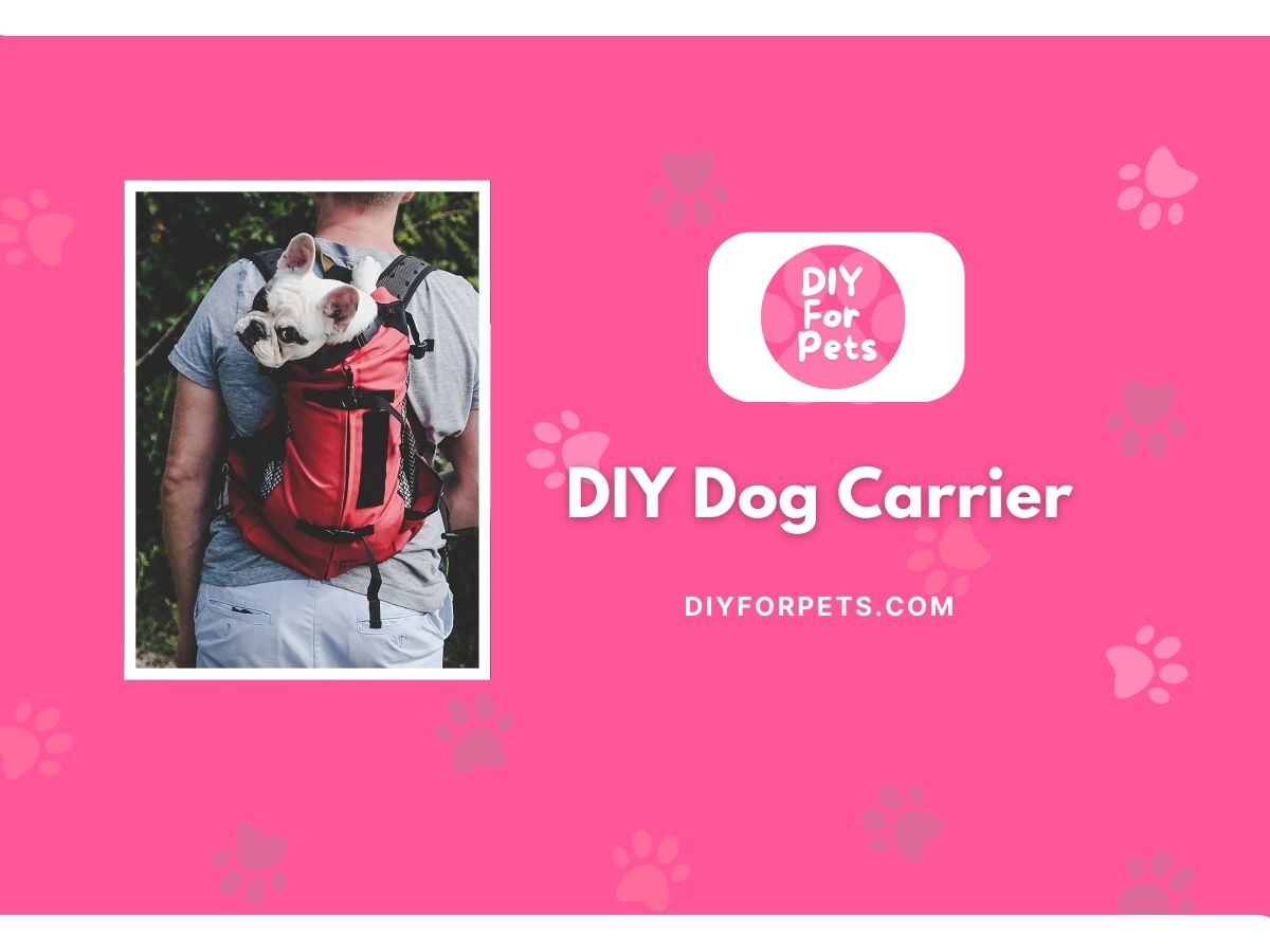 DIY Dog Carrier