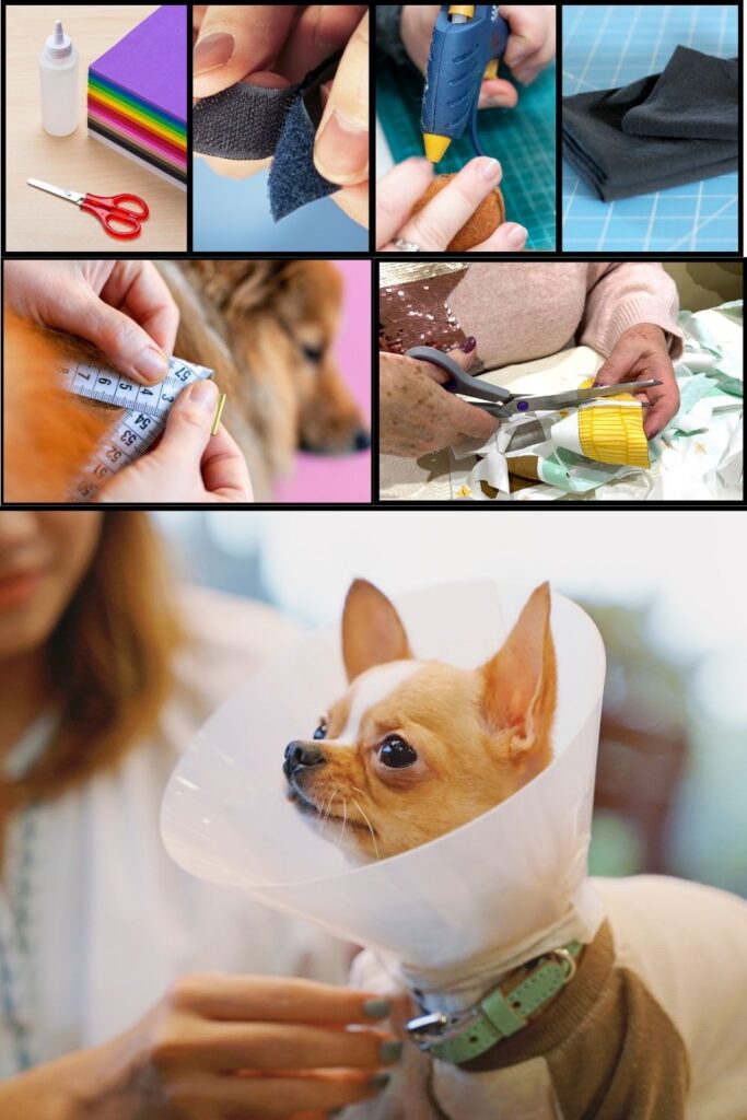 DIY Dog Cone Making