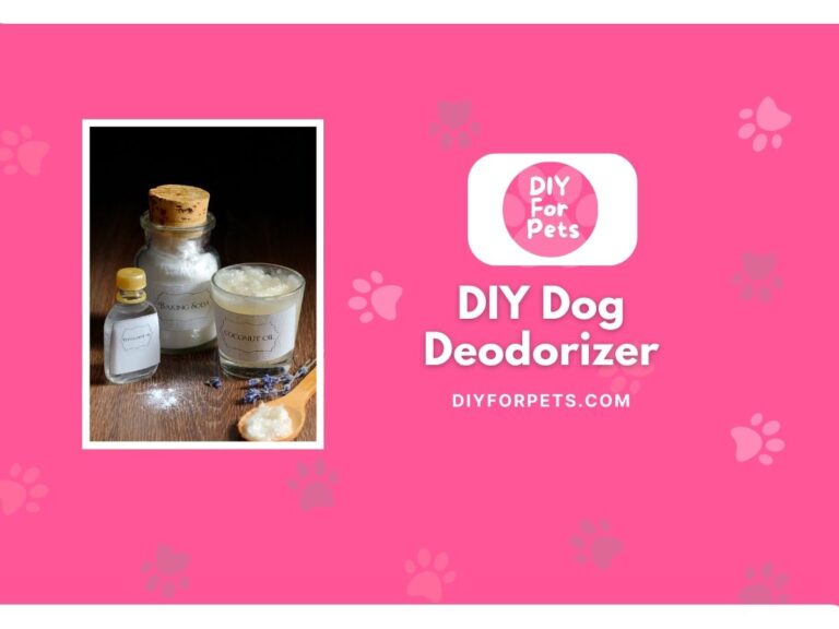 DIY Dog Deodorizer