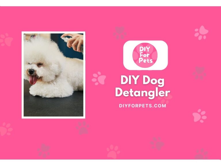 DIY Dog Detangler