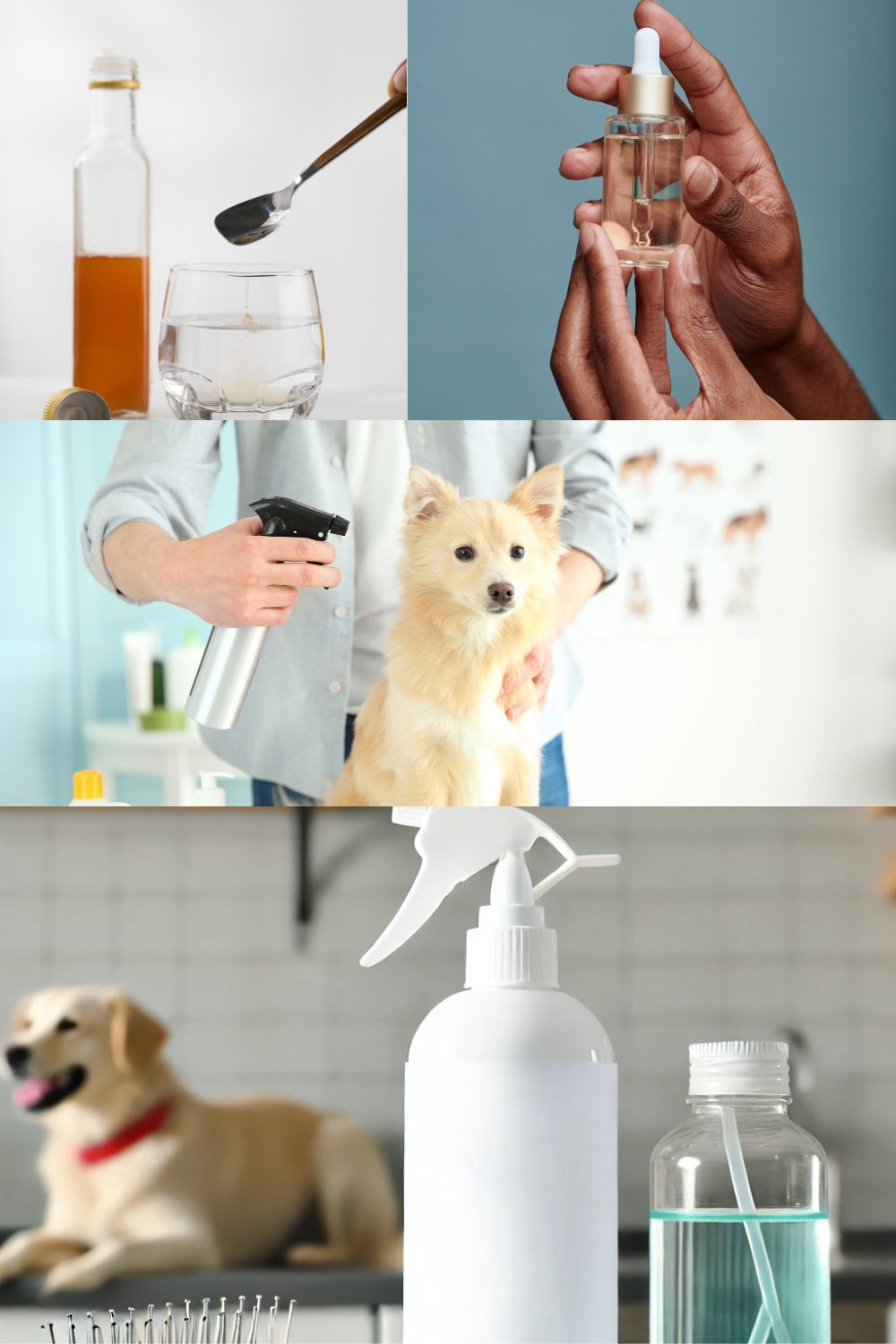Image result for 5 DIY Dog Detanglers (Tangle Free Fur Guaranteed) - DIY For Pets