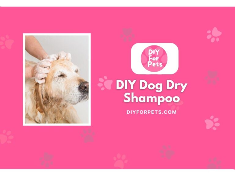 DIY Dog Dry Shampoo