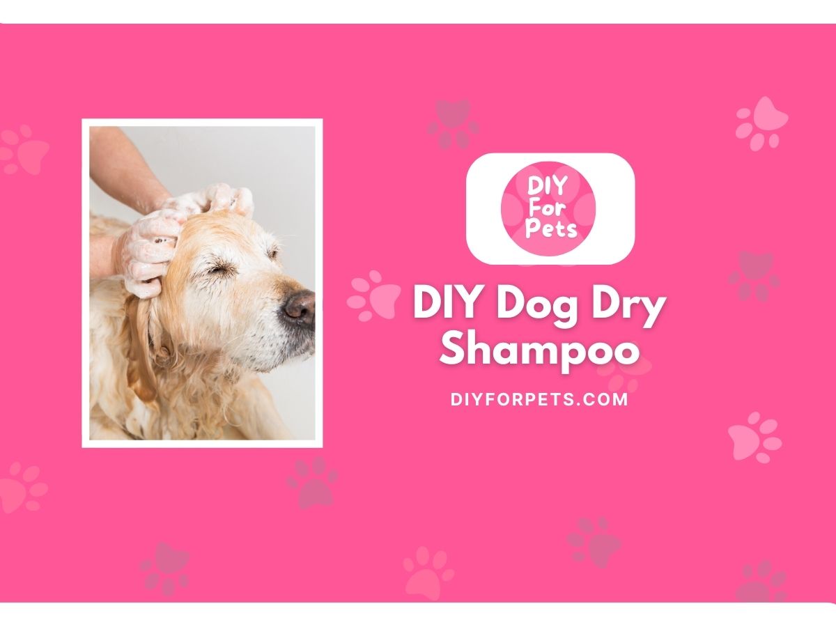DIY Dog Dry Shampoo