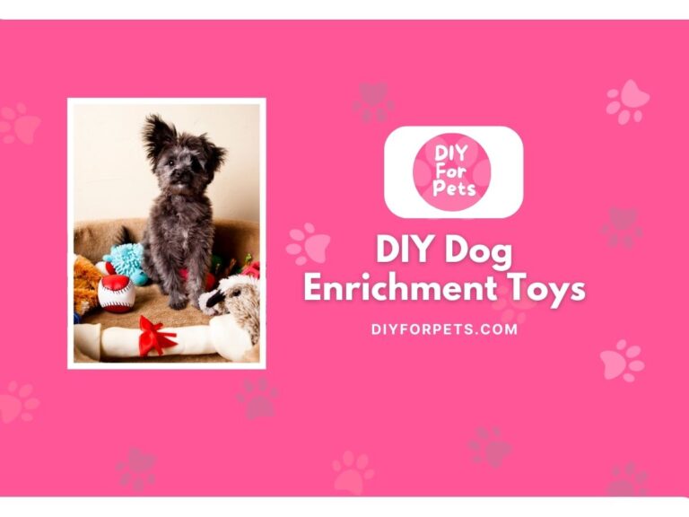 DIY Dog Enrichment Toys