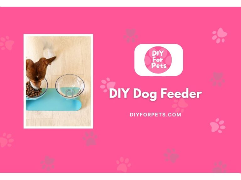 DIY Dog Feeder