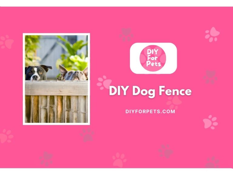 DIY Dog Fence
