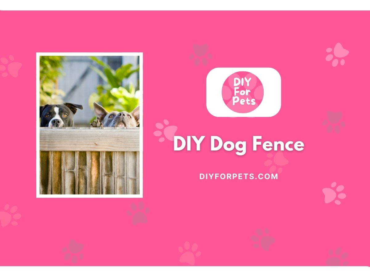 DIY Dog Fence