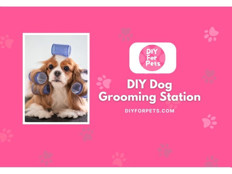 DIY Dog Grooming Station