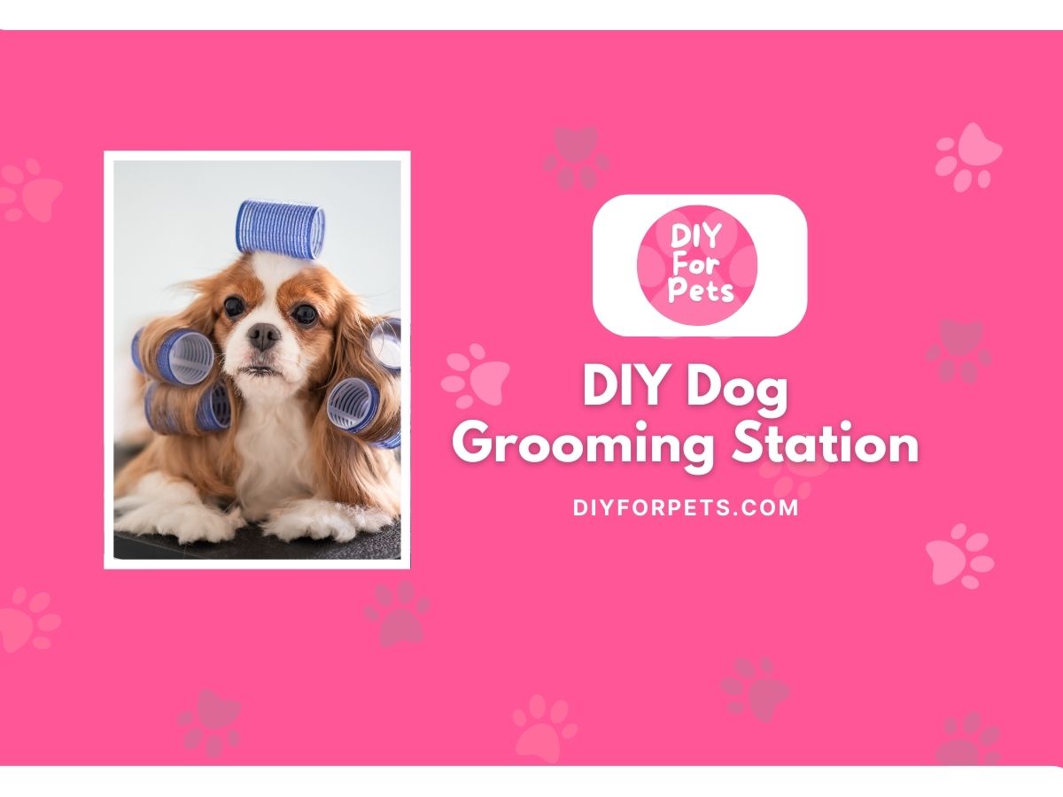 DIY Dog Grooming Station