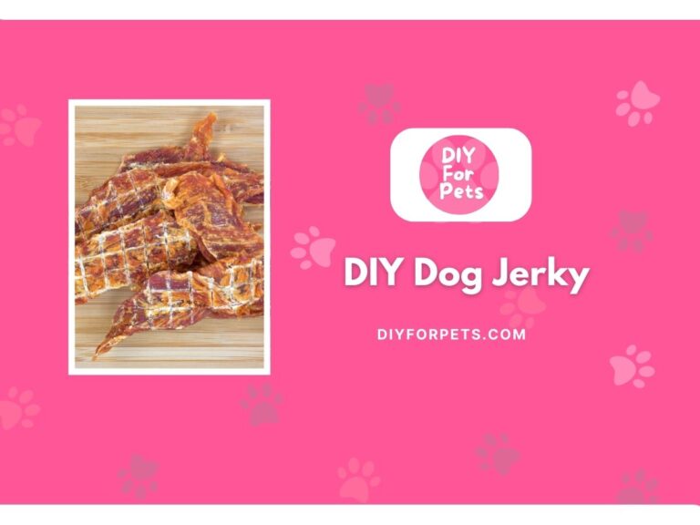 DIY Dog Jerky