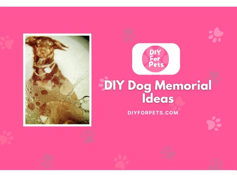 DIY Dog Memorial Ideas
