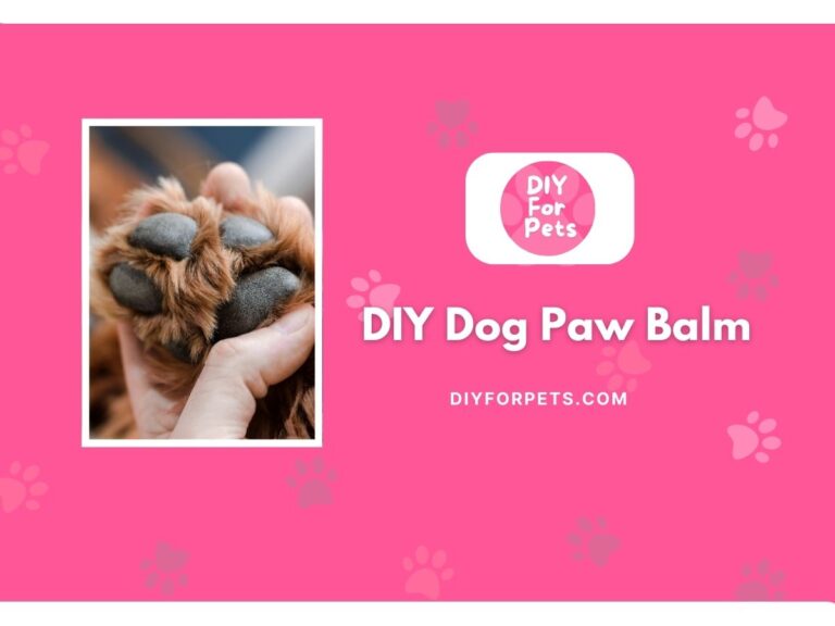 DIY Dog Paw Balm