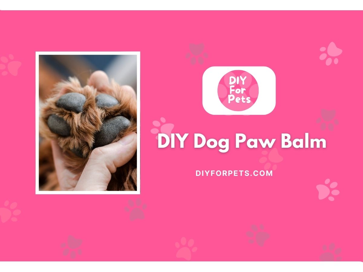 DIY Dog Paw Balm