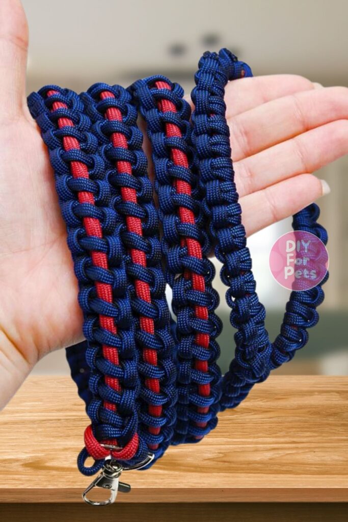 Diy Paracord Braided Leash