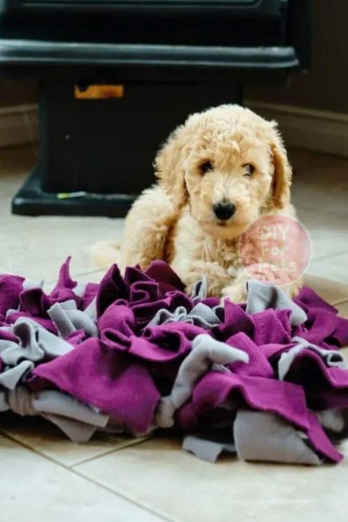 Diy for Dog Snuffle Mat Toy