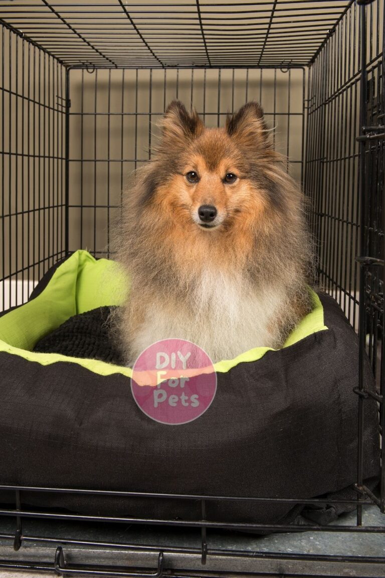 Picture of 15 DIY Dog Crate Ideas On A Budget (Easy To Build) - DIY For Pets