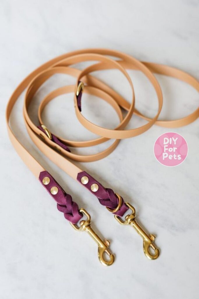 Leather Leash