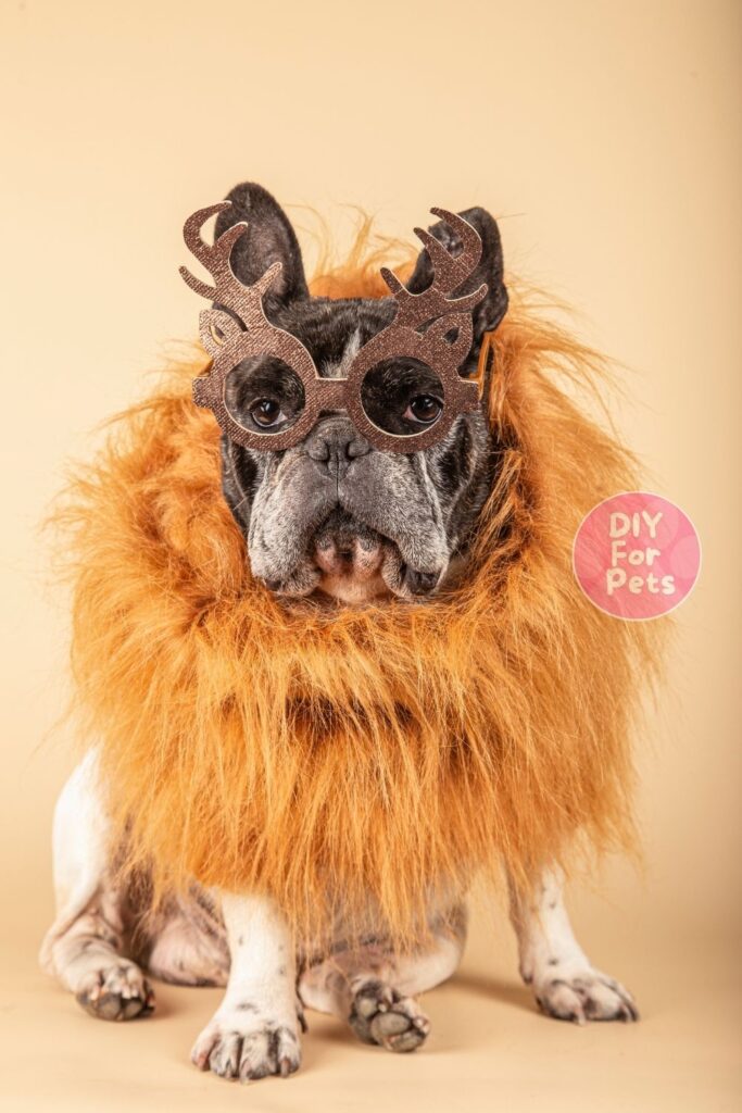 Lion Mane Dress Diy