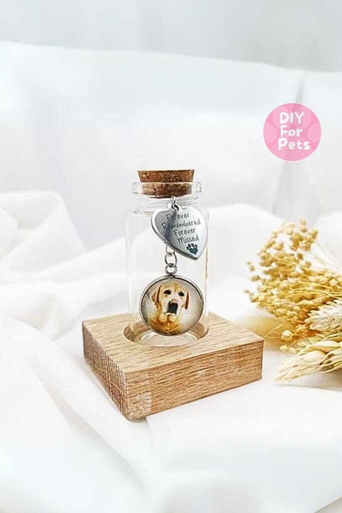 Memory Jar
