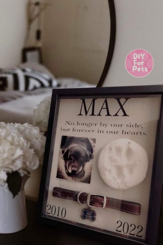 Memory Shadow Box Diy for Dogs