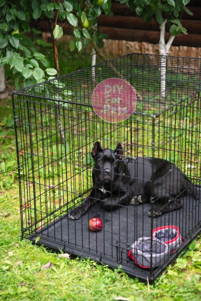 Outdoor Diy Dog Crate