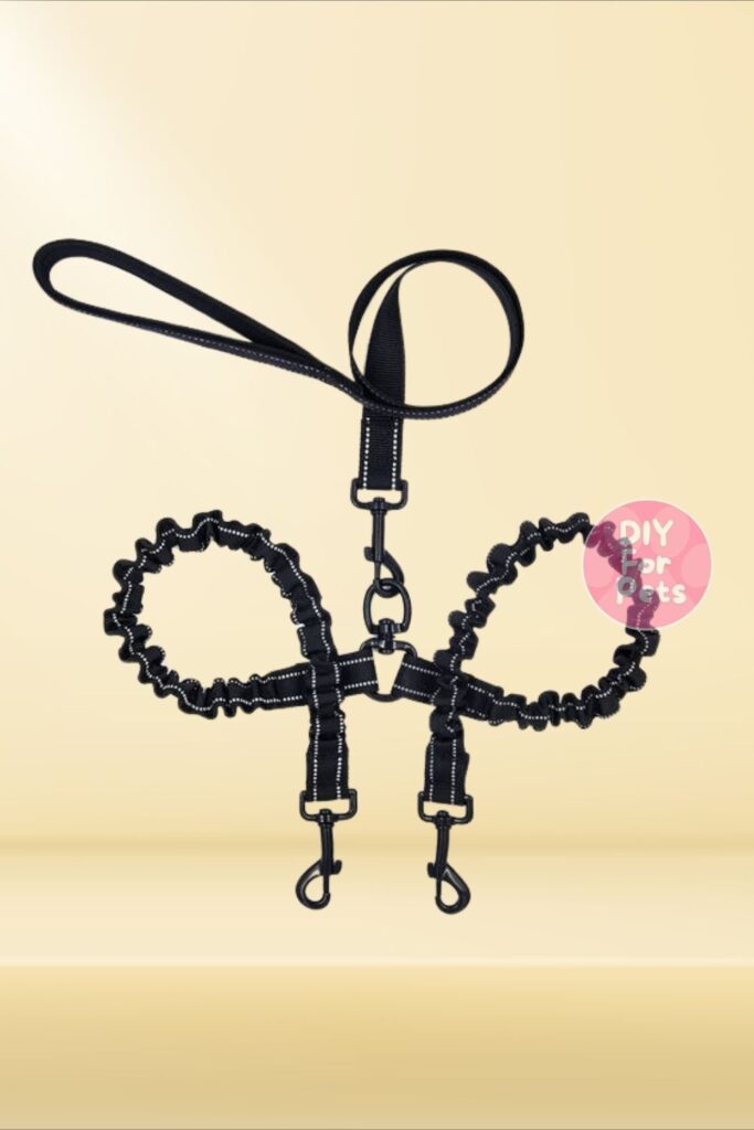 Two-Dog Split Leash