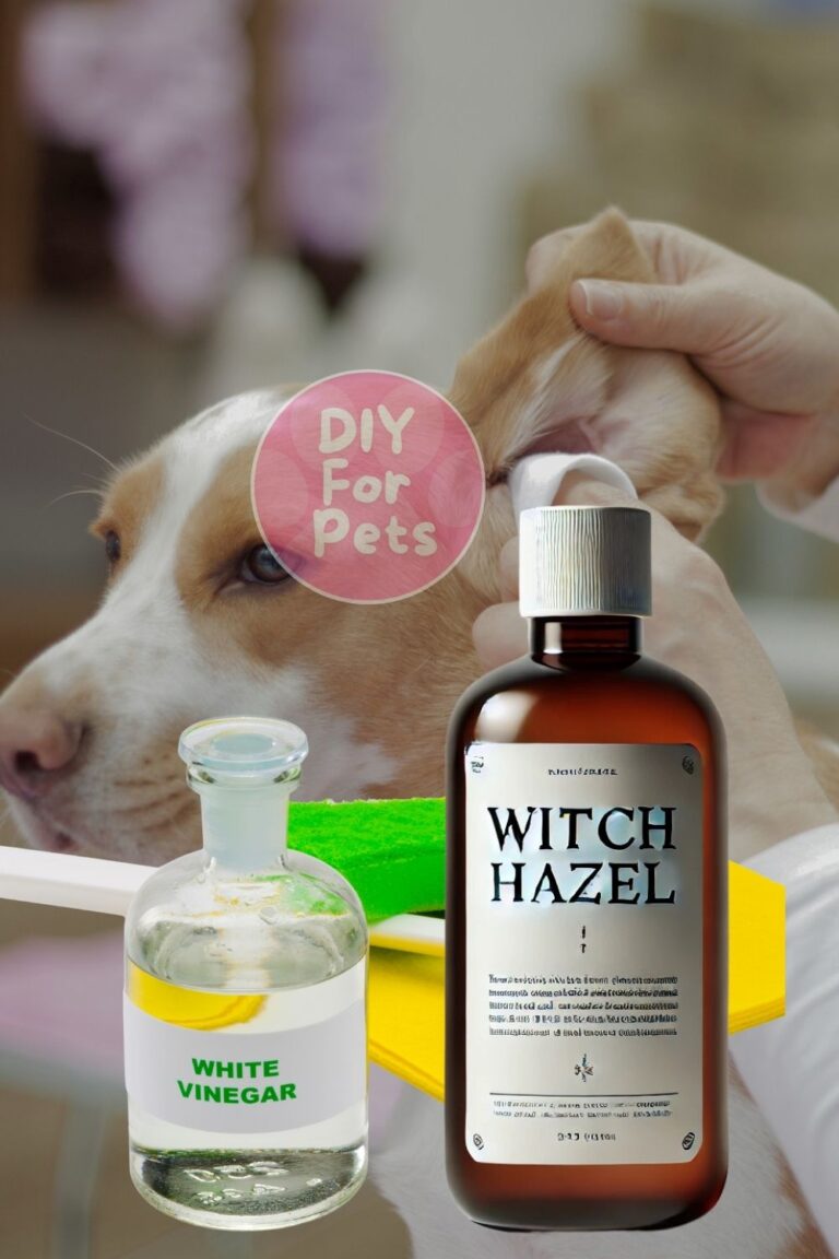 How To Clean A Dog's Ears With Vinegar - Andrea's Notebook