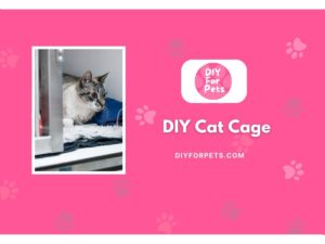 7 DIY Cat Cage For A Comfortable Living (Easy To Build) - DIY For Pets