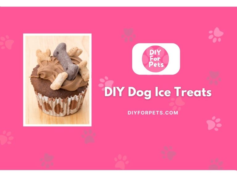 DIY Dog Ice Treats