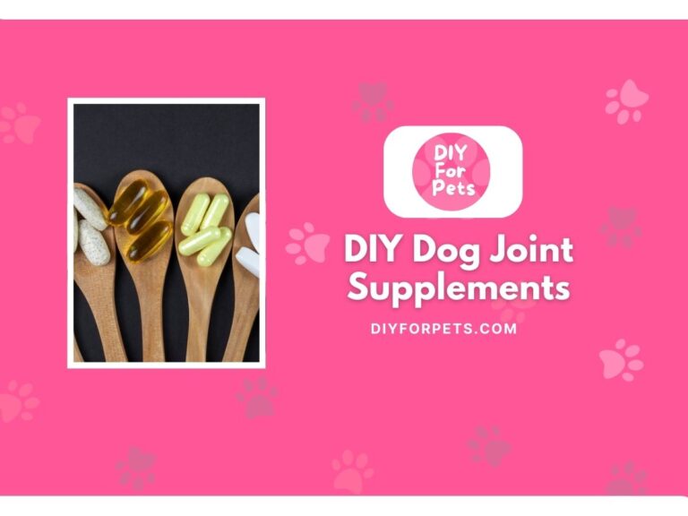 DIY Dog Joint Supplements