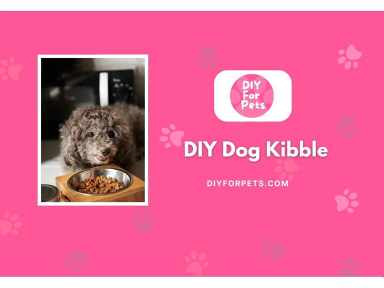 DIY Dog Kibble