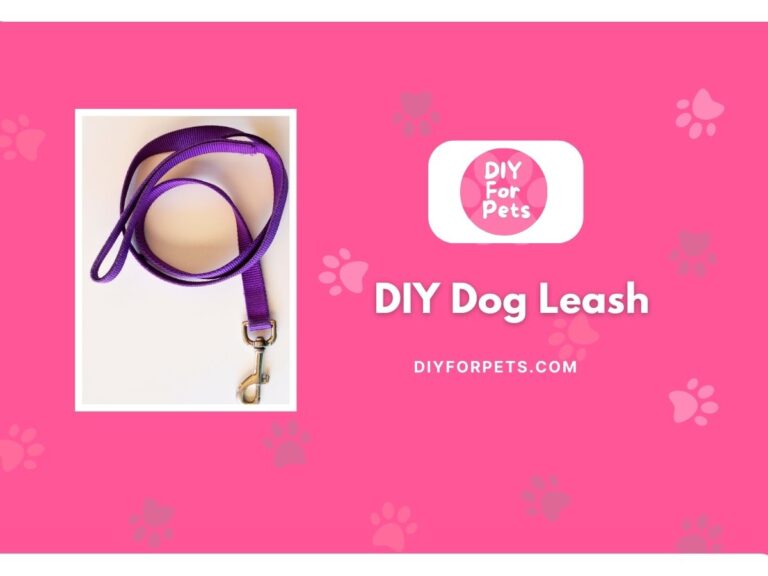 DIY Dog Leash