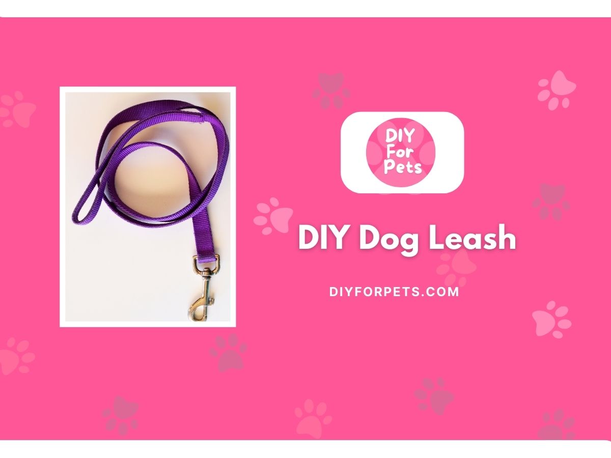 DIY Dog Leash