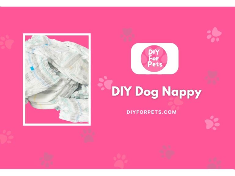 DIY Dog Nappy