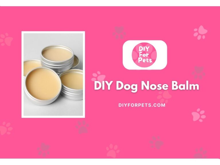 DIY Dog Nose Balm