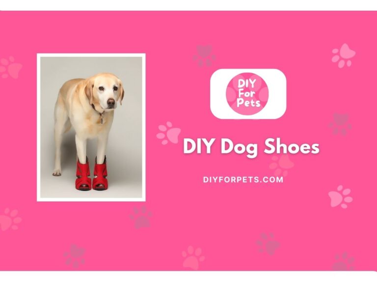 DIY Dog Shoes