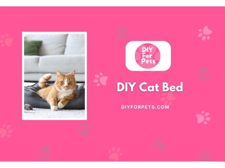 DIY Cat Bed