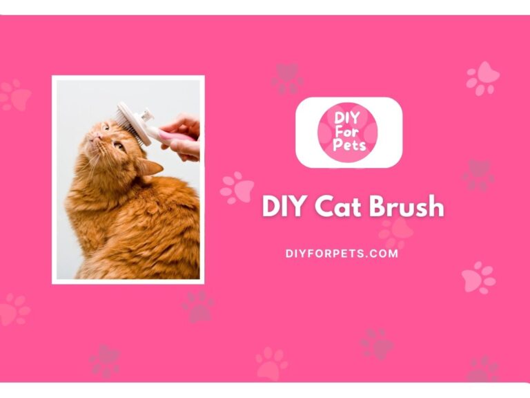 DIY Cat Brush