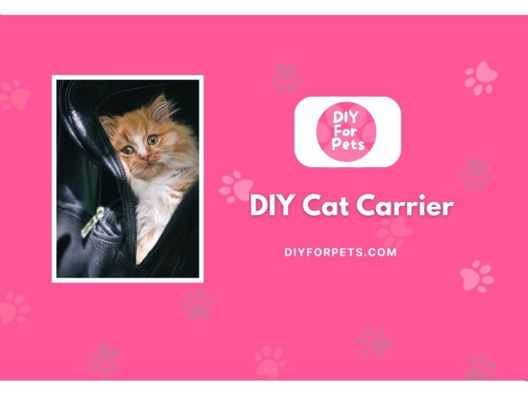 DIY Cat Carrier