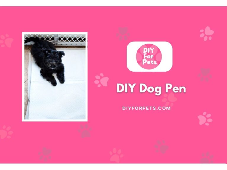 DIY Dog Pen