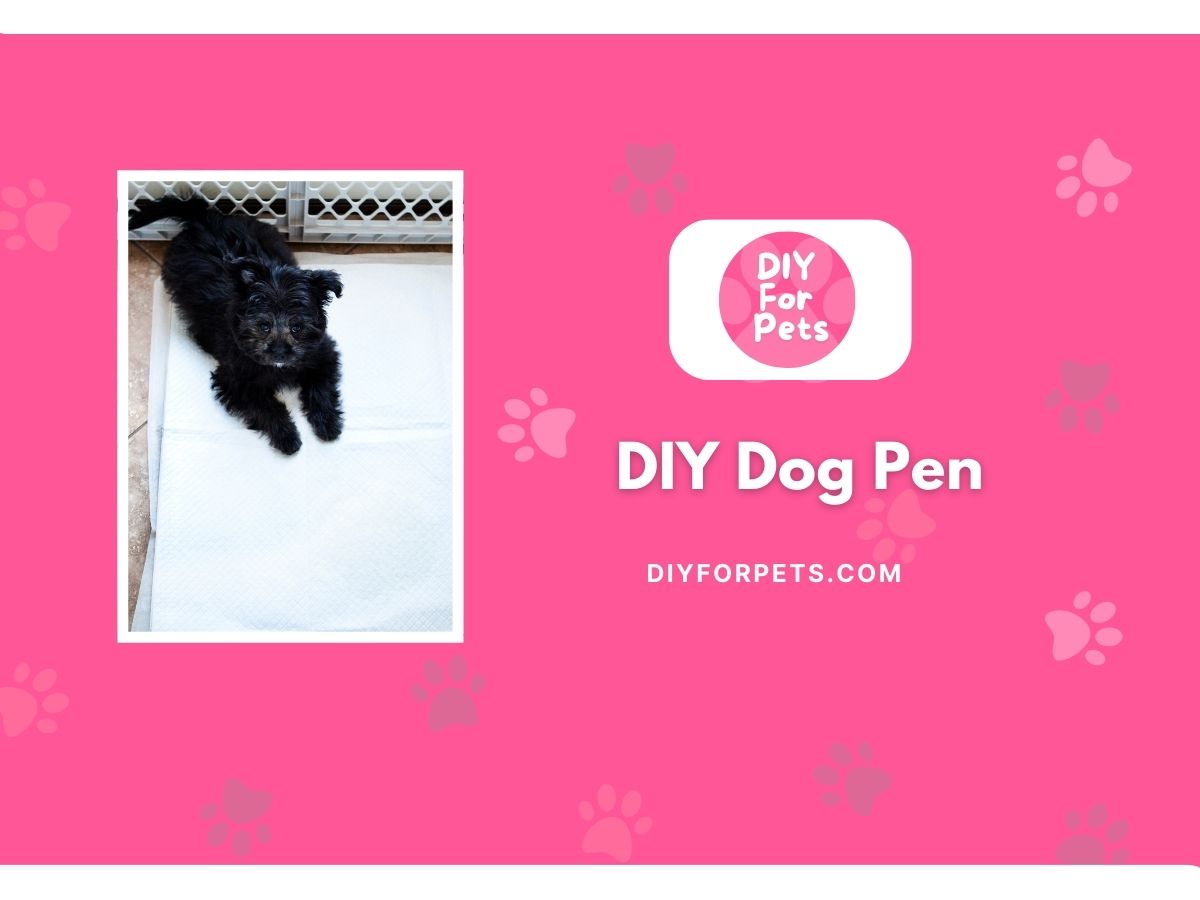 DIY Dog Pen