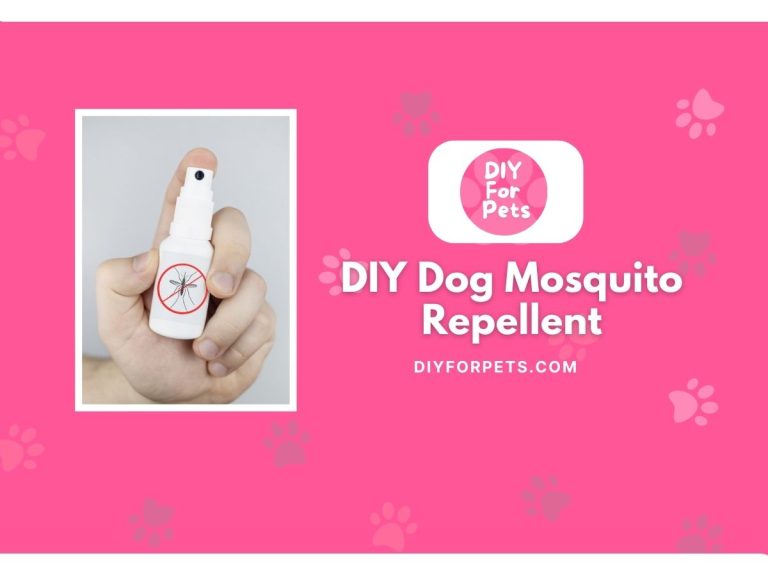 DIY Dog Mosquito Repellent