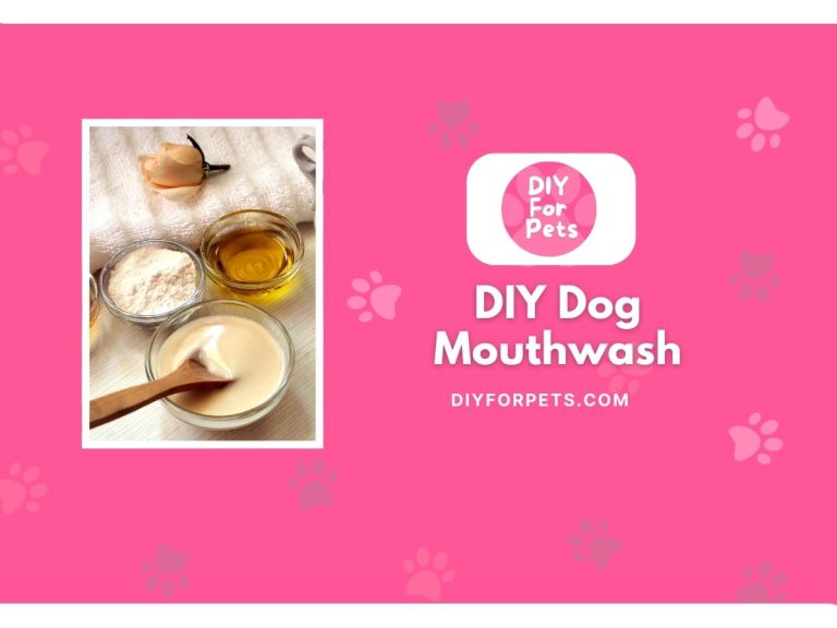 DIY Dog Mouthwash