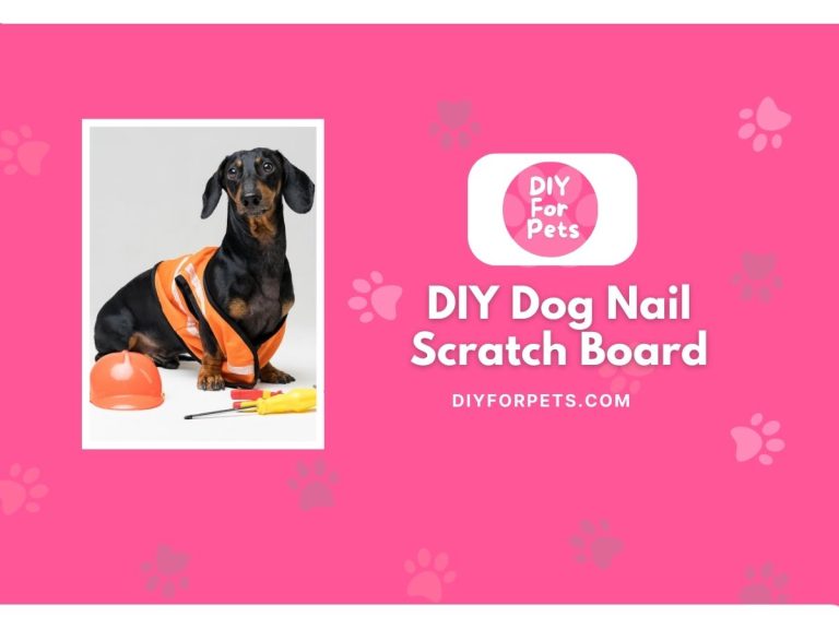 DIY Dog Nail Scratch Board
