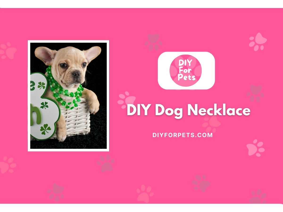 DIY Dog Necklace