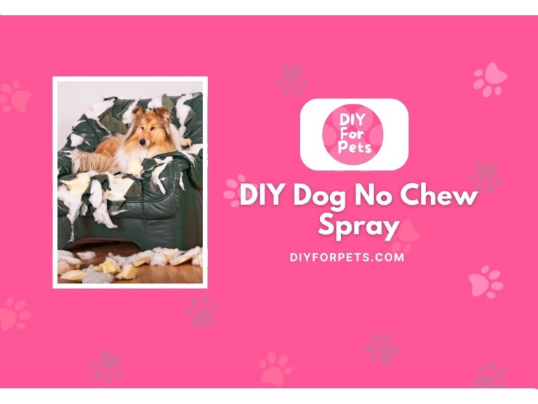 DIY Dog No Chew Spray